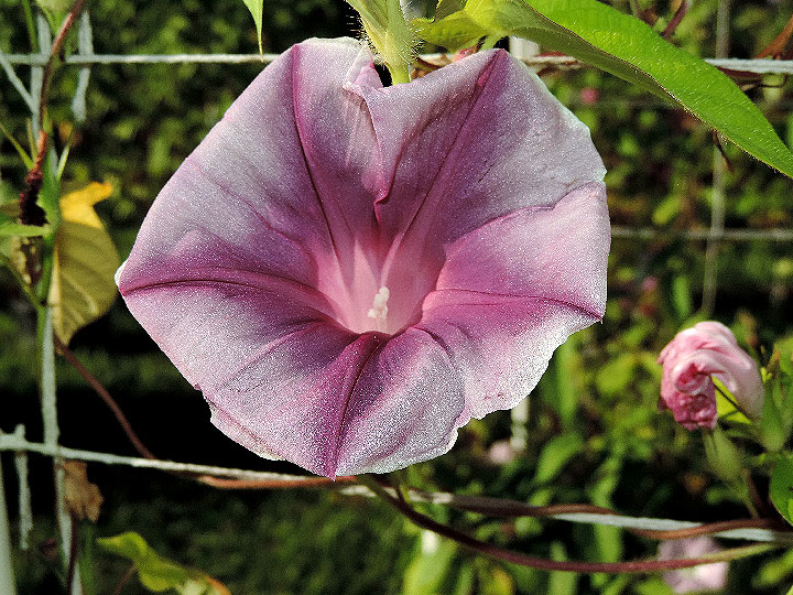 DSCN9146