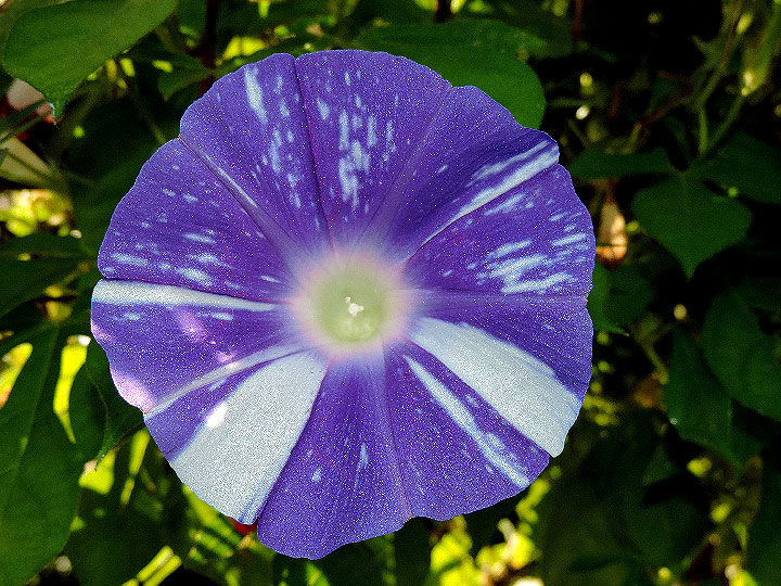 DSCN9230