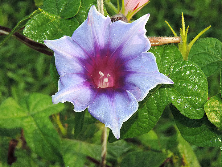 DSCN9372