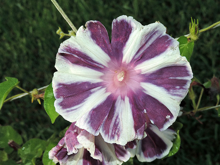 DSCN9392
