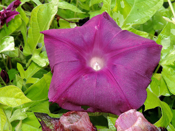DSCN9406