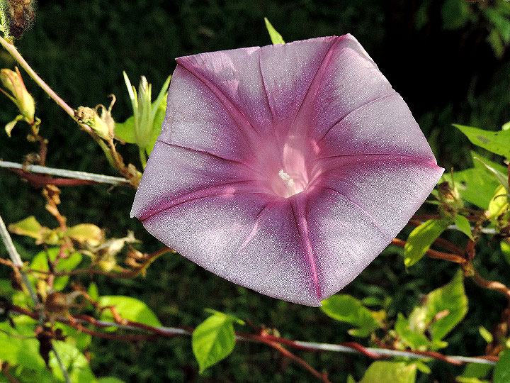 DSCN9413
