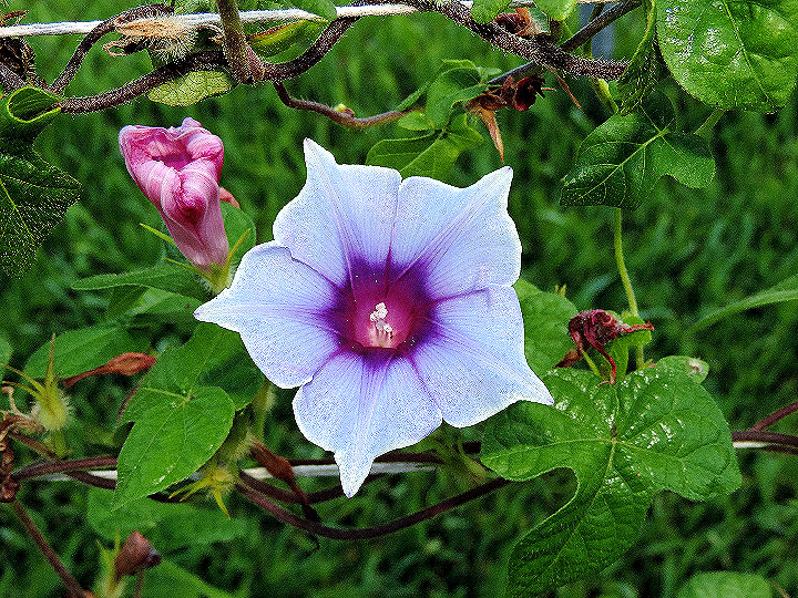 DSCN9485