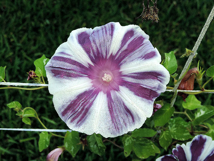 DSCN9508