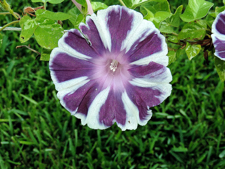 DSCN9509