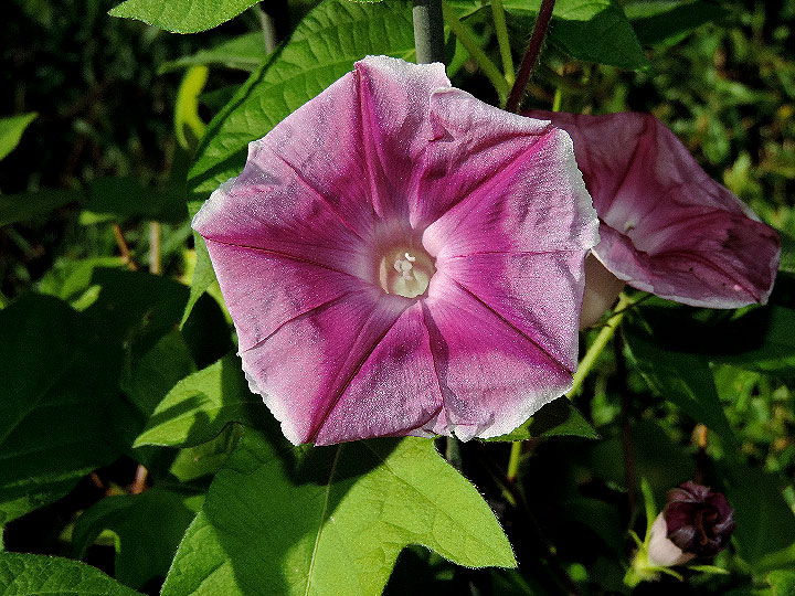 DSCN9646