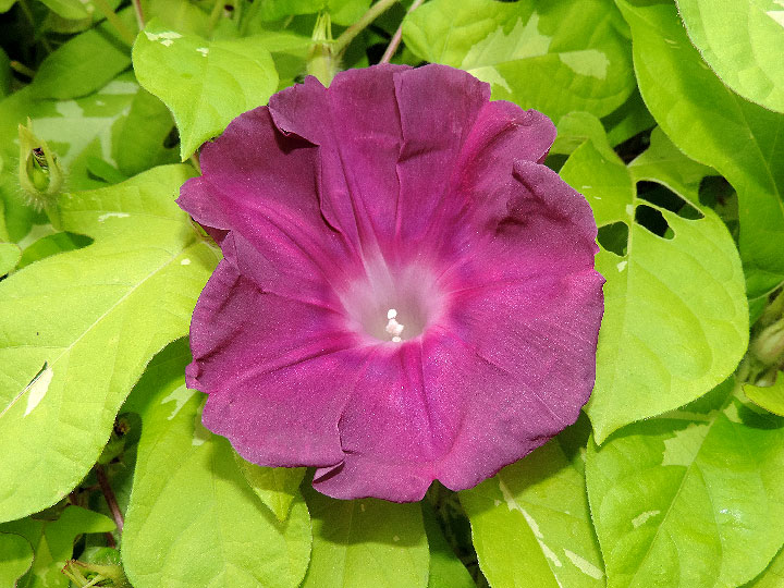 DSCN9727
