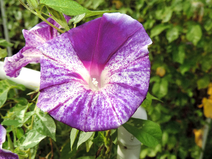DSCN9738