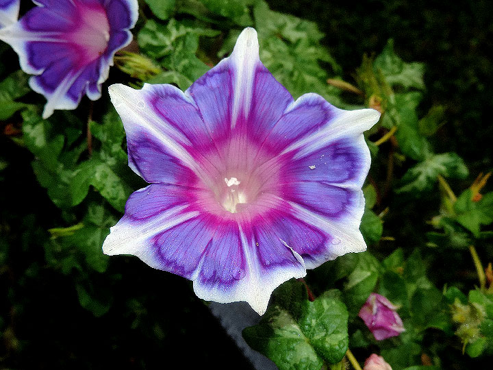DSCN9779