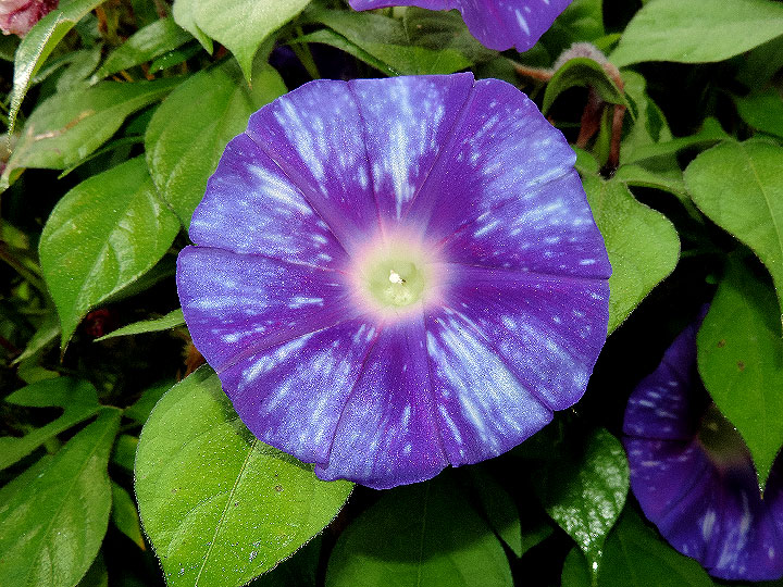 DSCN9780