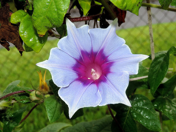 DSCN9789