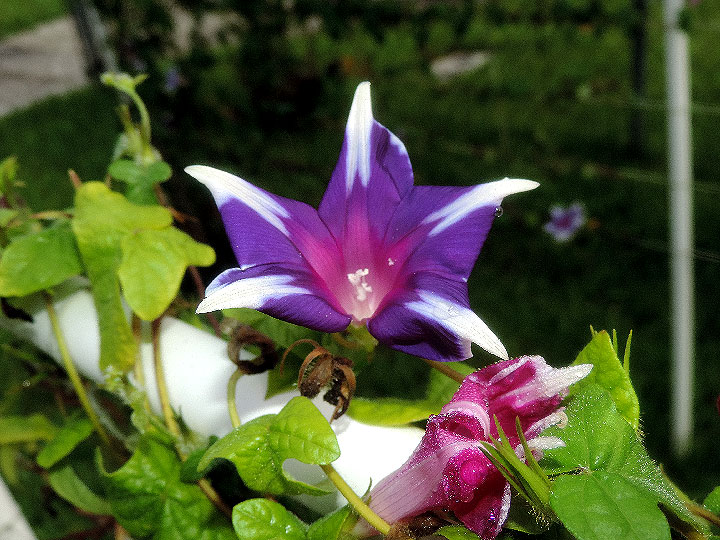 DSCN9792