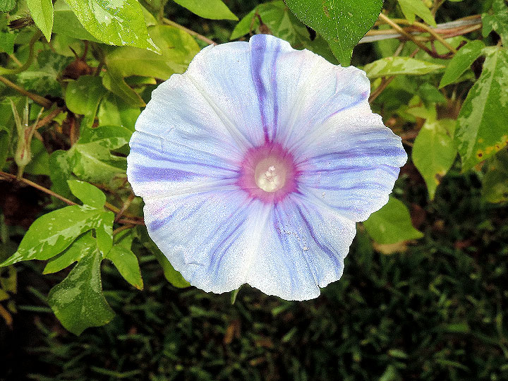 DSCN9801
