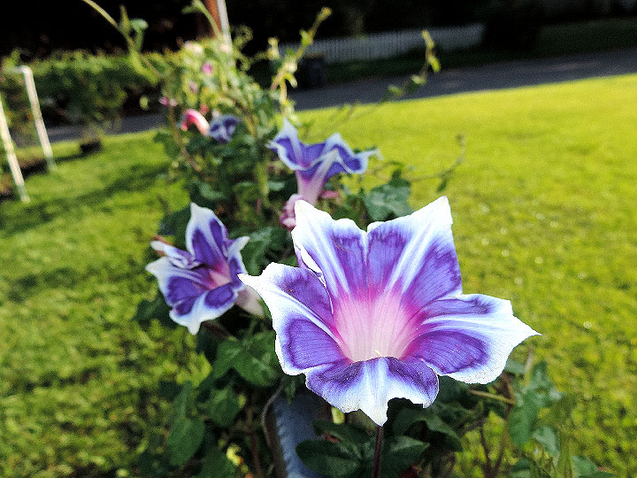 DSCN9871