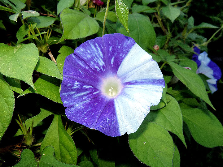 DSCN9874