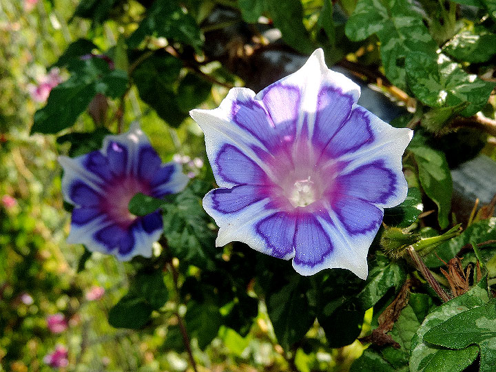 DSCN9962