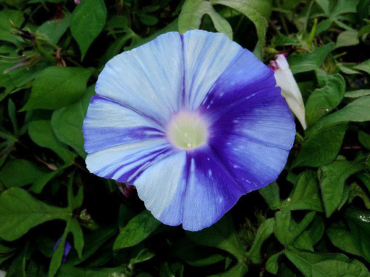 DSCN9964