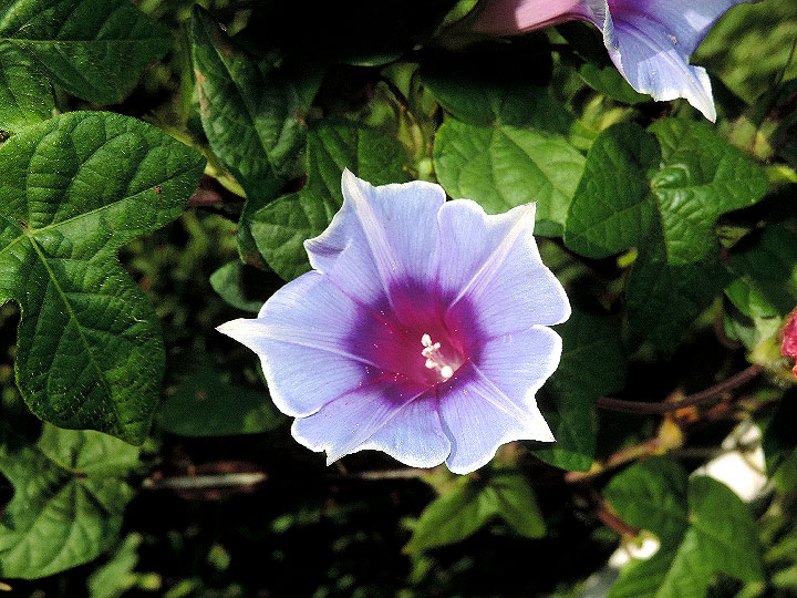 DSCN9971