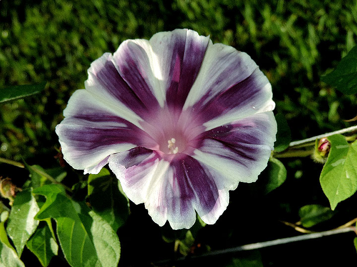 DSCN9993
