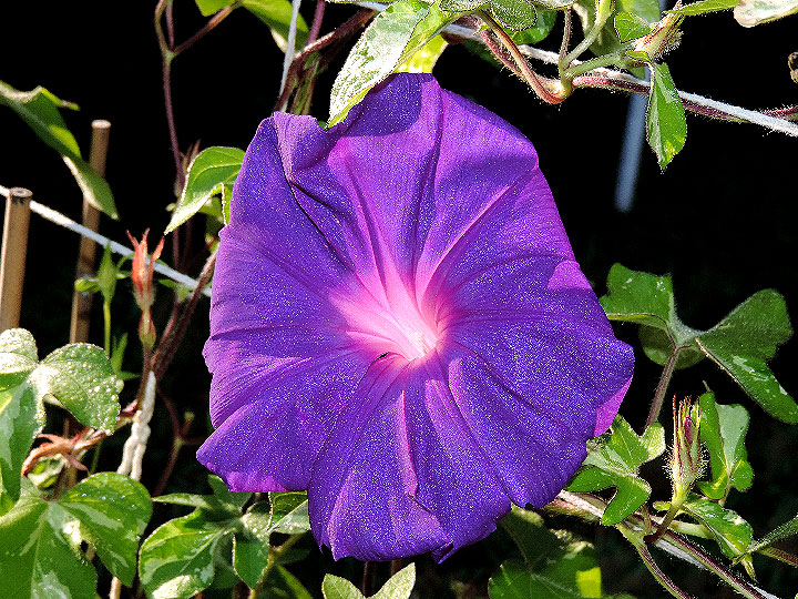 1DSCN0511