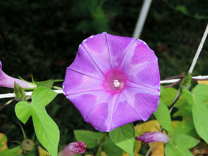 1DSCN0988