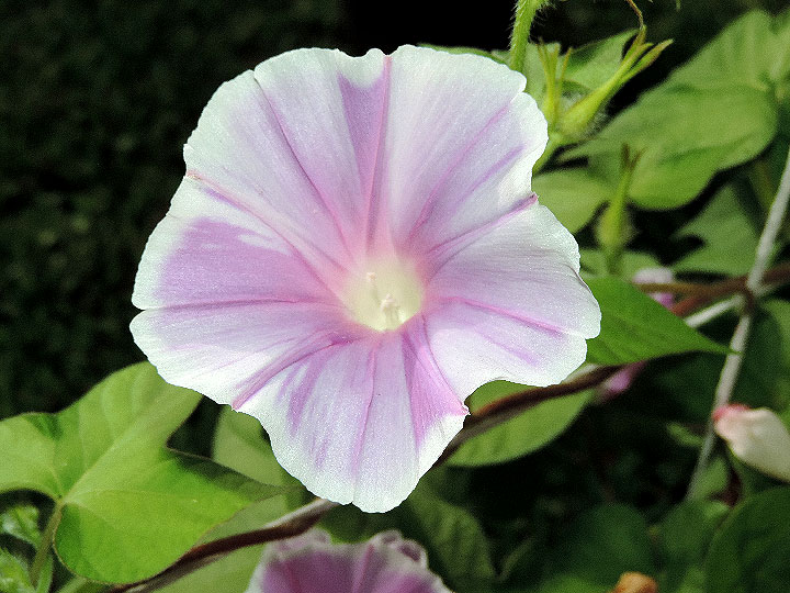 1DSCN6257