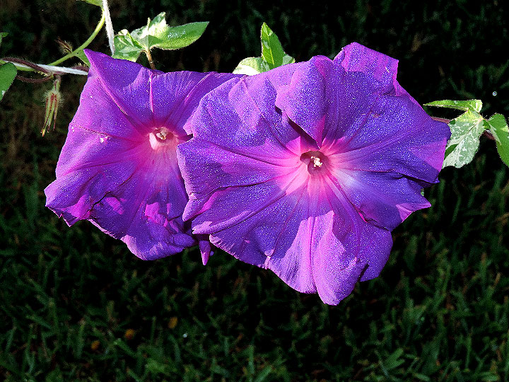 2DSCN0280