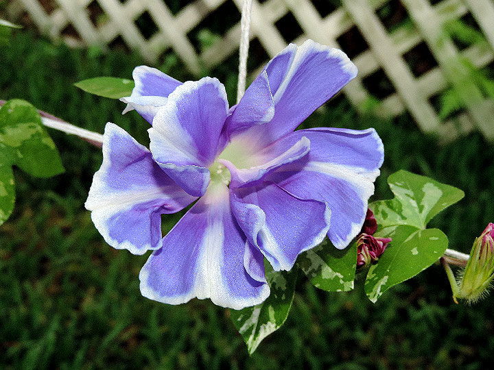 3DSCN0928