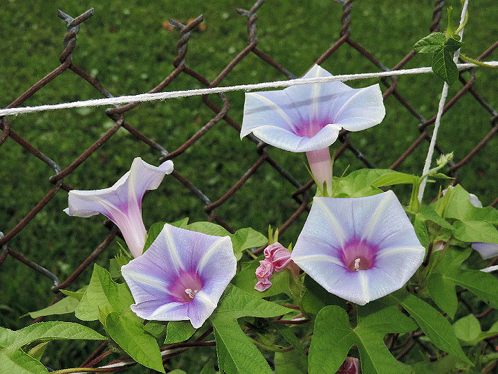 3DSCN5968