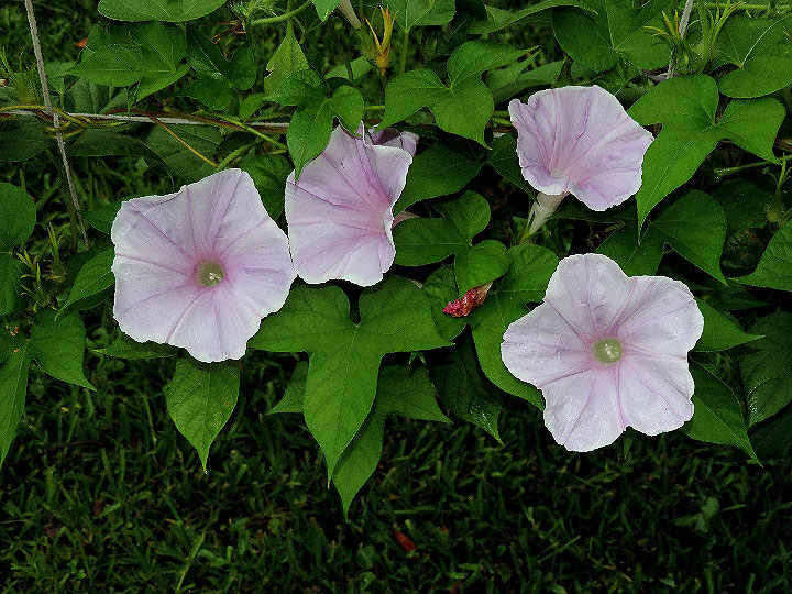 3DSCN7753