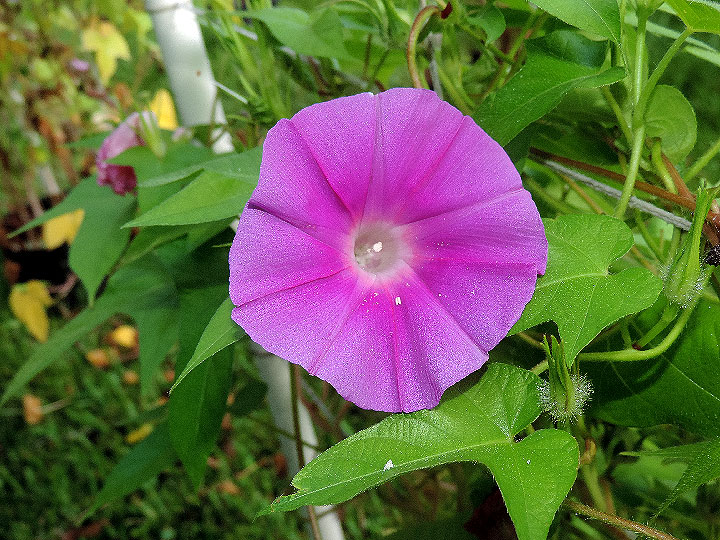 3DSCN9841