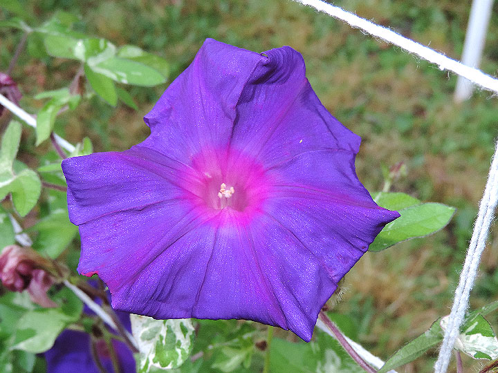 4DSCN0045