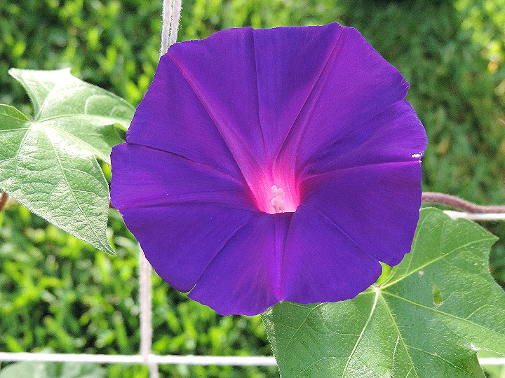 4DSCN0051