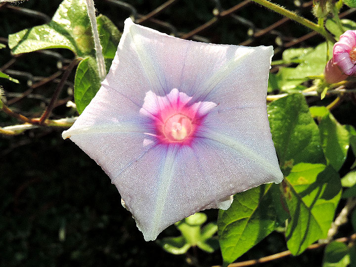 4DSCN0104