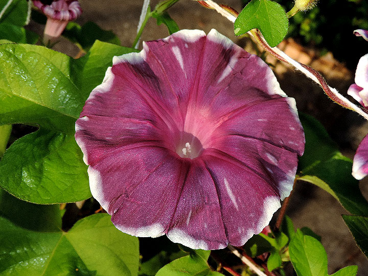 4DSCN0926