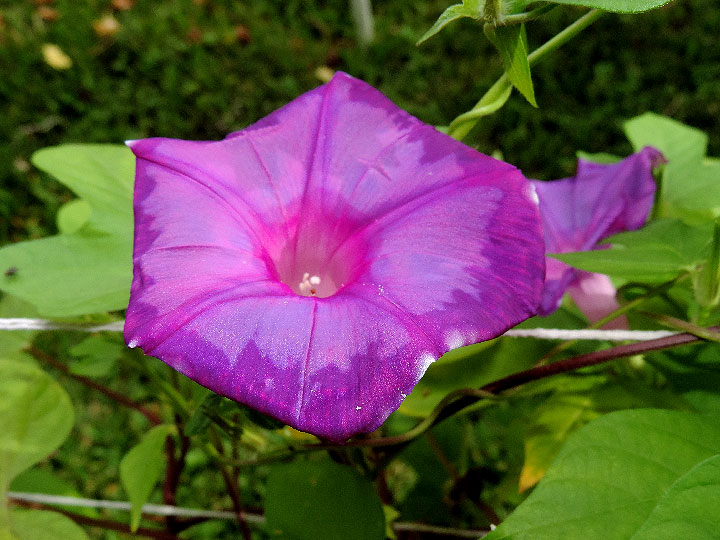 4DSCN9747