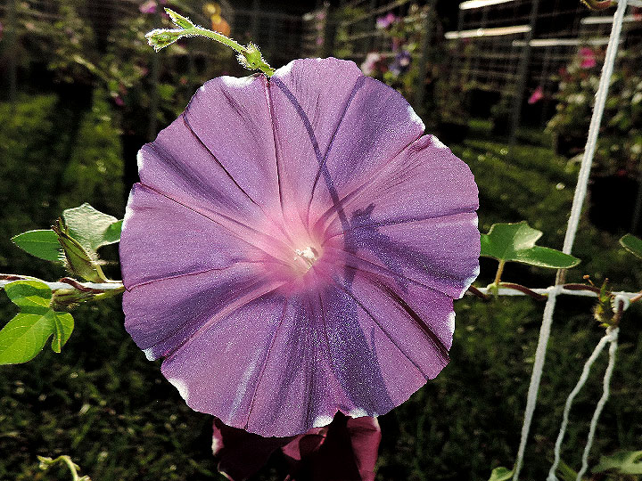 5DSCN0834