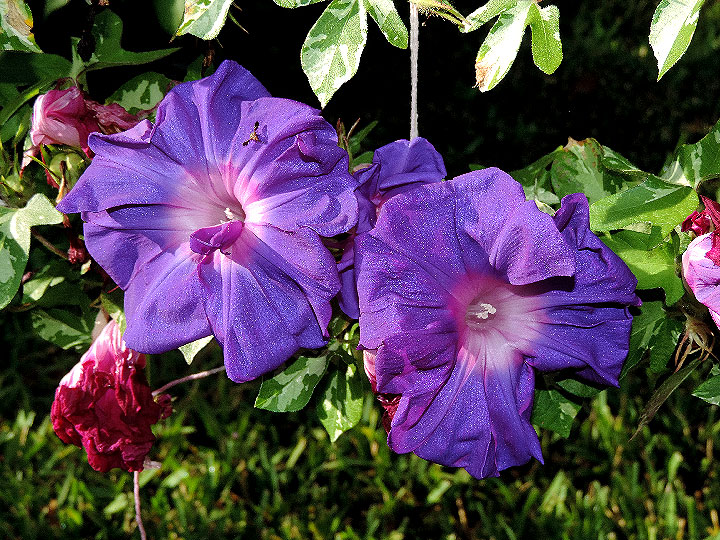 5DSCN3159