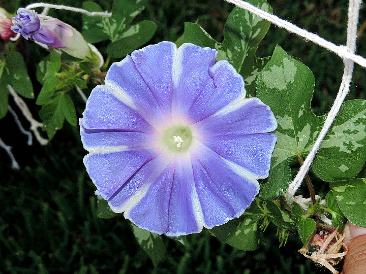 6DSCN1733