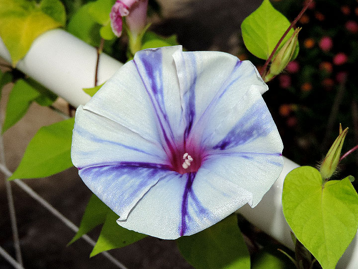 6DSCN8919