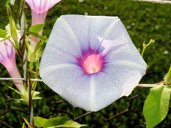 6DSCN9068