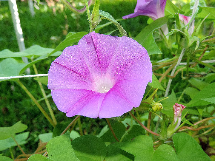 DSCN0027