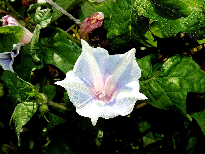 DSCN0043