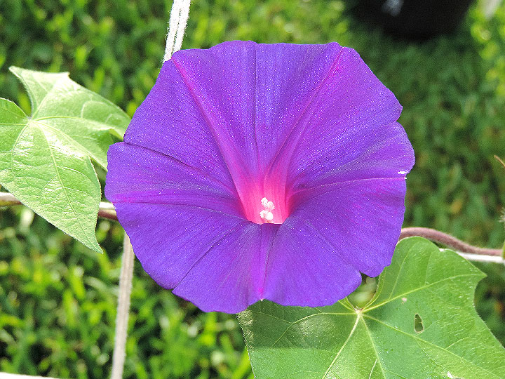DSCN0050
