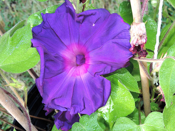 DSCN0097