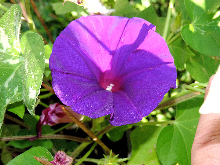 DSCN0101