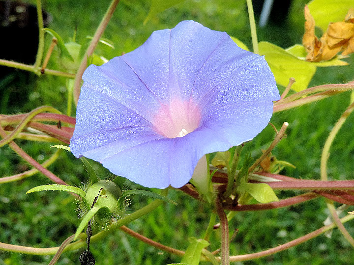 DSCN0141