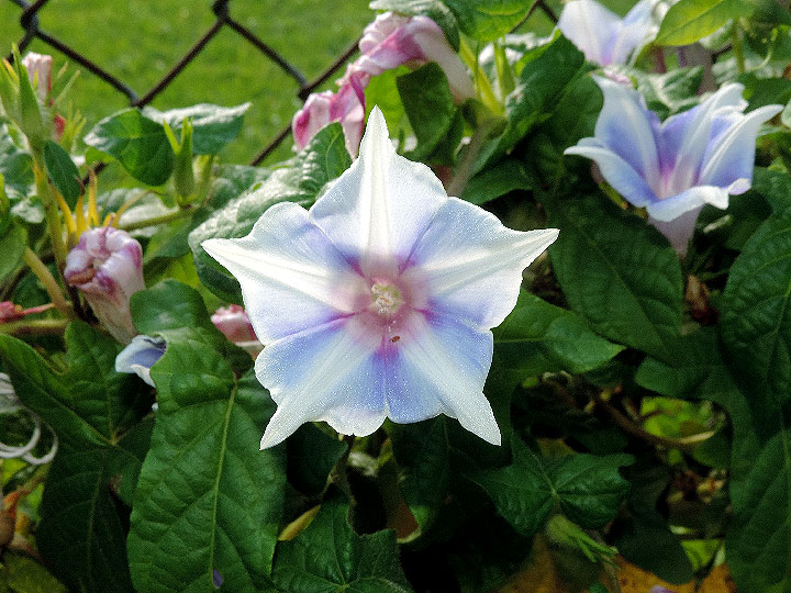 DSCN0150
