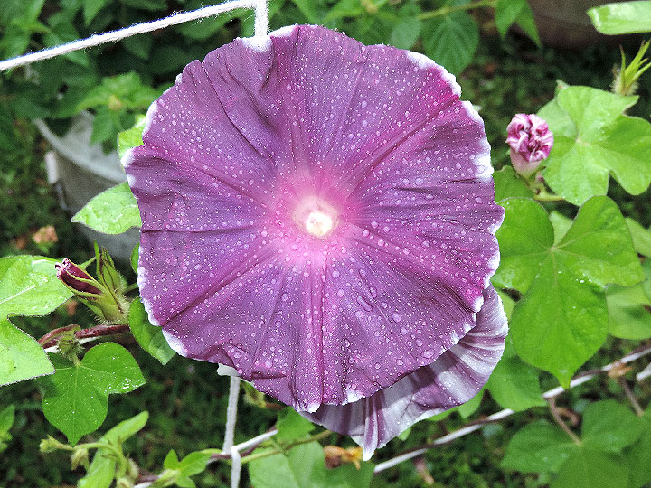 DSCN0161