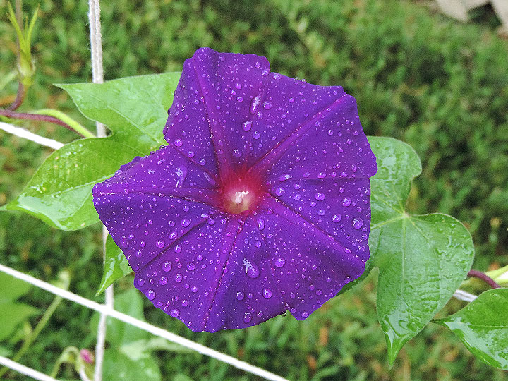 DSCN0163